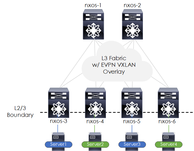 How to Build an NXOS-9000v Based EVPN VXLAN Fabric